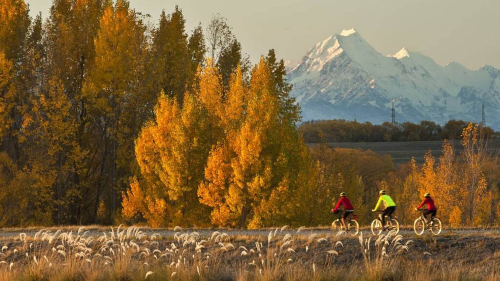 Cycling in the autumn trees - best time to visit New Zealand Cycling in the autumn trees - Best time to visit New Zealand