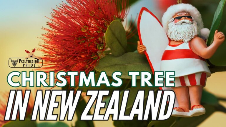 christmas trees in new zealand