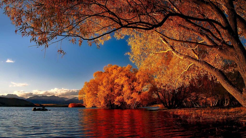 Autumn Weather in New Zealand - Autumn Clothing in New Zealand