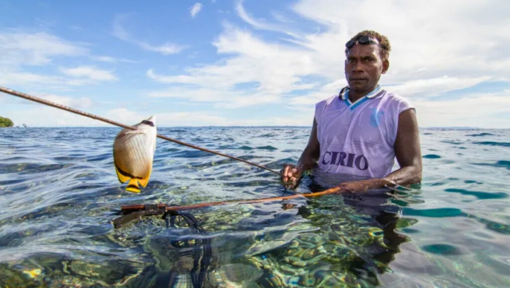 Man fishing with a spear in the clear waters of the Solomon Islands, reflecting traditional island livelihoods.