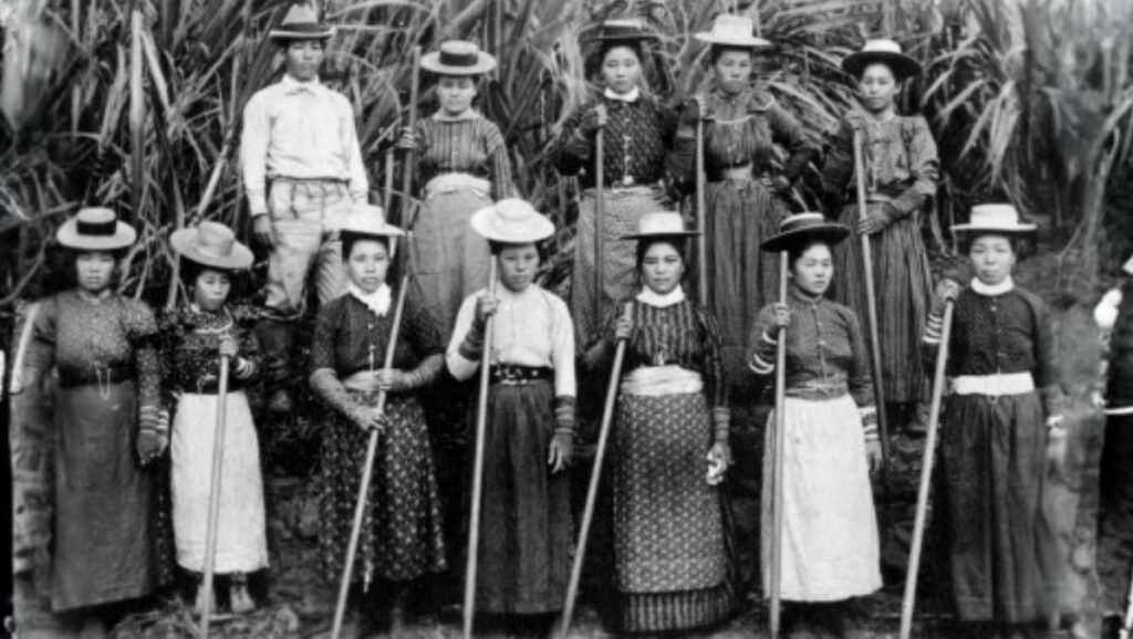 169 69 Group of early 1900s plantation workers in Hawaii standing with tools, wearing long dresses and hats in a field.