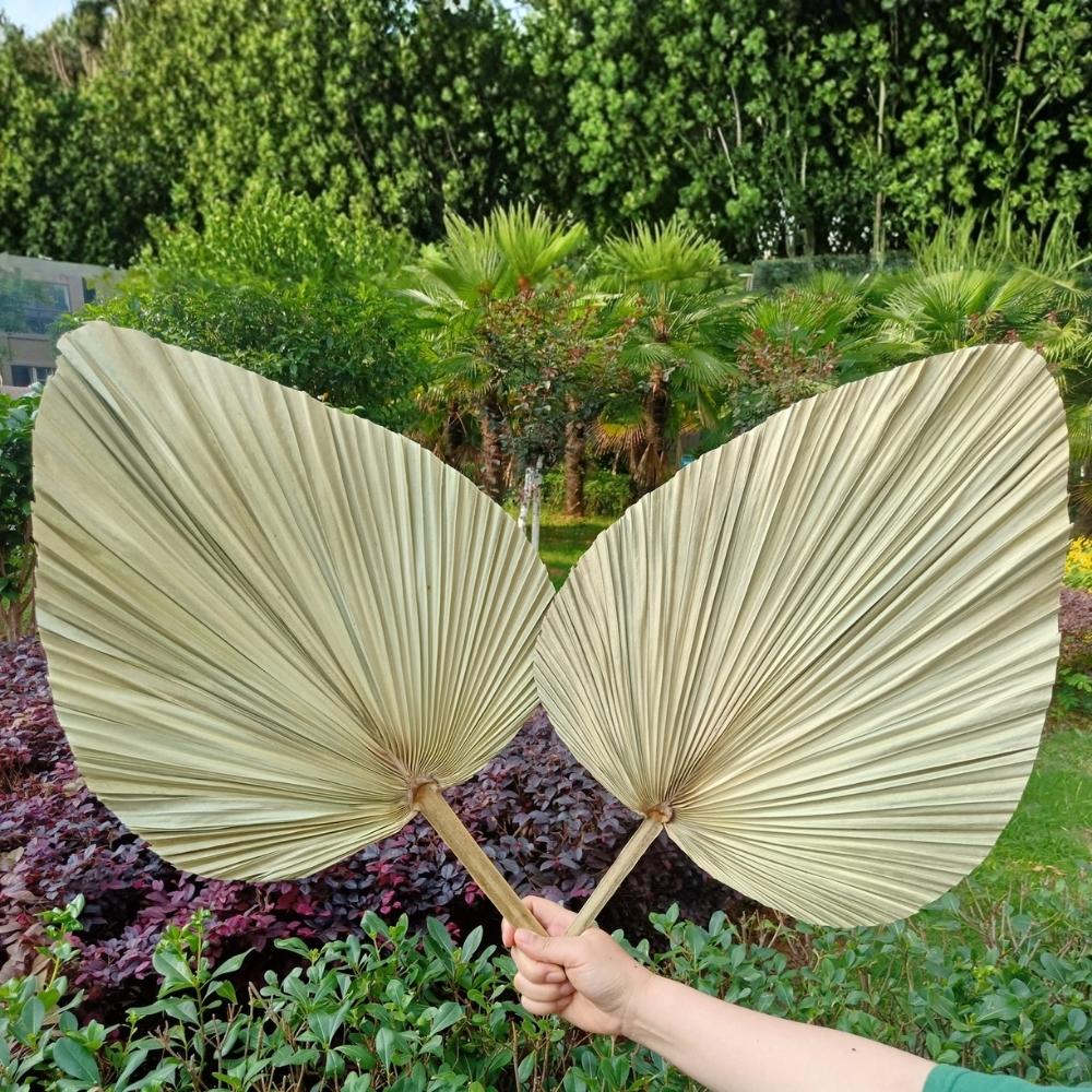 Handcrafted palm-leaf fans from Solomon Islands, showcasing Melanesian and Pacific craft traditions.