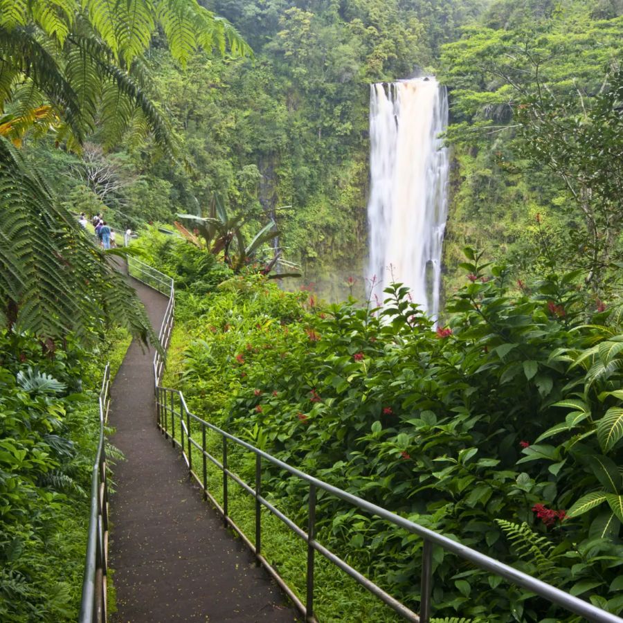 Akaka Falls State Park in Big Island