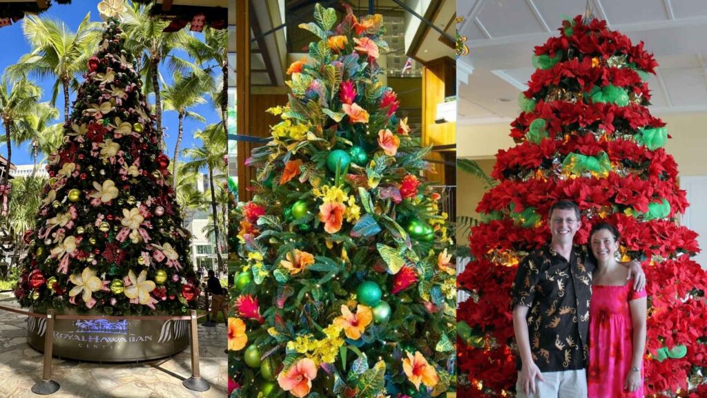 Christmas tree decorations in hawaii Christmas trees in Hawaii