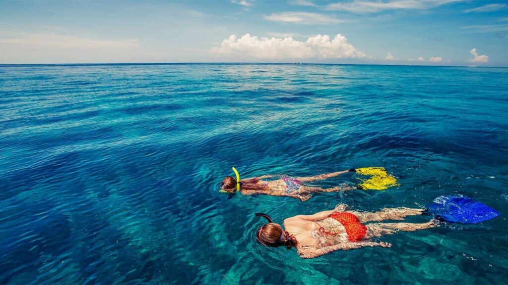 Travelers snorkeling in the clear blue waters of the Big Island, Hawaiʻi, one of the top marine activities in Kona